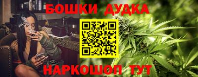индика Рузаевка